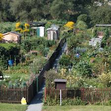 Bild aus der Kleingartenanlage