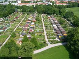 Bild aus der Kleingartenanlage