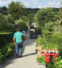 Bild aus der Kleingartenanlage