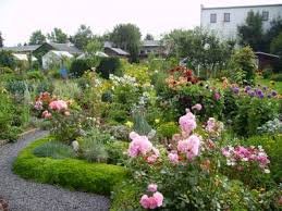 Bild aus der Kleingartenanlage